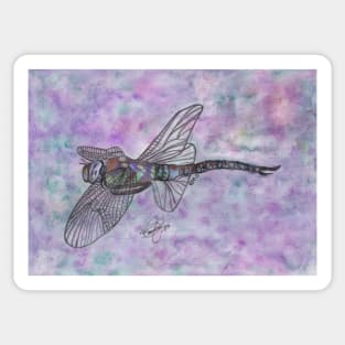 Dragonfly Sticker